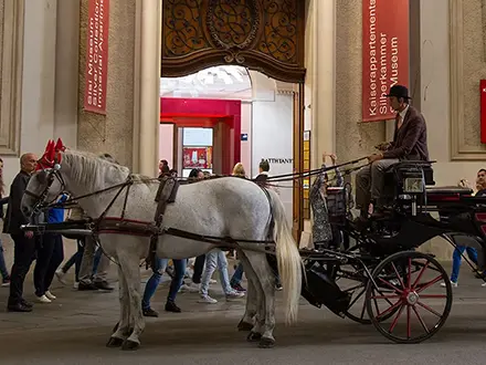 Австрія – про автомобільні платні дороги (віньєтка) ПДР обмеження швидкості