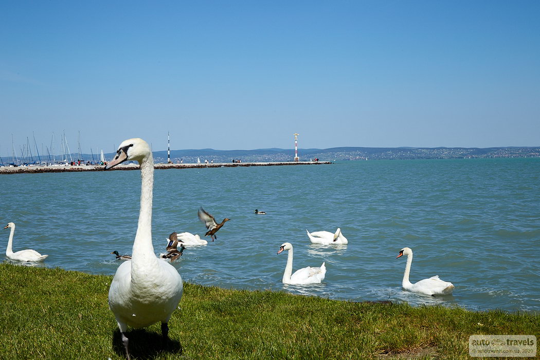 Lake Balaton