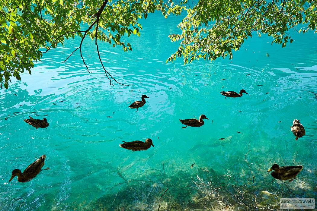 Plitvice Lakes, Croatia by car